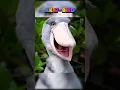 Download Lagu This Bird Sounds Like an AK-47 💥🦅 #Shoebill