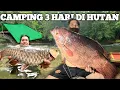 Camping Hujan deras 3 hari Fishing Pertualangan Bermalam di hutan Masak dan makan ikan Mahseer