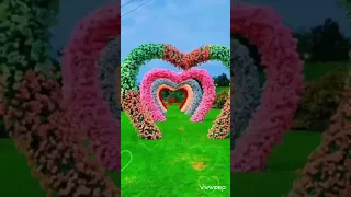 فريد الاطرش  مانحرمش العمر منك ياحبيبي دندنها