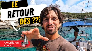 ILS ARRIVENT ( mais pas en bateau ) :  VOILIER coraille