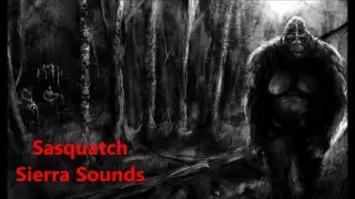 Download Sasquatch Sierra Sounds by Ron Morehead \u0026 Al Berry in (HD) MP3