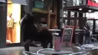 Danger Hardcore Team Mash Up Jumping Time Horse In The House 