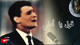 حليم قولي حاجة حالات واتس اب 