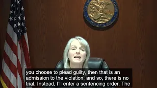 What Happens In Traffic Court 