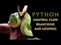 Python Control Flow Branching and Looping Structures v2024