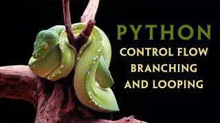 Python Control Flow Branching and Looping Structures v2024