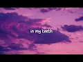 Lana Del Rey - Cinnamon Girl (Lyrics) (Loop Video)