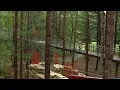 Country s longest canopy walk opens in Midland Michigan