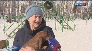 «Вести Омск», итоги дня от 18 марта 2021 года