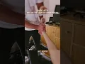 Melsik Bag asaryan Chiro Cracks