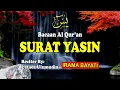 Download Lagu Qur'an surah Yasin irama Bayati Qori Ustadz Ullumudin