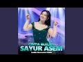 Download Lagu Cinta Bukan Sayur Asem