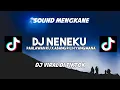 Download Lagu DJ NENEKU PAHLAWAN KU X ABANG PILIH YANG MANA VINKY YT REMIX 2022