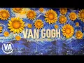 VAN GOGH THE IMMERSIVE EXPERIENCE Richmond VA