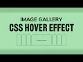 Create Sleek Image Gallery with Captivating Hover Effect
