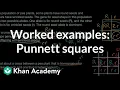 Worked examples Punnett squares Inheritance and variation Middle school biology Khan Academy