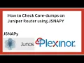 How to Check Core-dumps on Juniper Router using JSNAPY