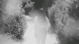                                                           طلعت يا محلا نورها   هبة طوجي  ريمكس  دندنها