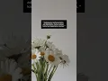 Download Lagu lagu cinta bagai api tak berasap BCL video short lirik lagu aku bisa apa cinta bagai api tak berasap