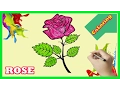 Rose Coloring Pages How to color Rose for Kids