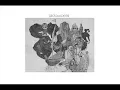 widowspeak - Limbs