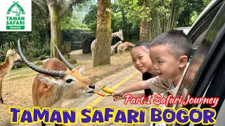 safari park bogor safari park