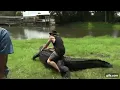 Florida Man Rides Alligator