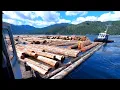 Download Lagu Log Runner, dropping toggles #canadianboyslogging #logrunning #cuttingbooms #logrunner #boomman #fyp