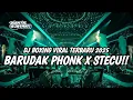 Download Lagu DJ BOXING BARUDAK PHONK X STECU VIRAL TIKTOK || DJ JUNGLE DUTCH BOXING FULL BASS TERBARU 2025