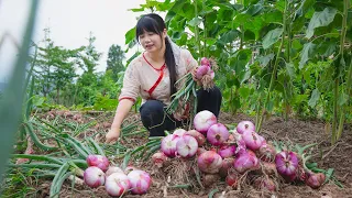 【二米炊煙】Green Onion 解鎖3種蔥的不同香味，紫洋蔥，大蔥，小香蔥