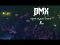 Download Lagu DMX - How's it Goin Down|Live in New Orleans!