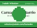 In the Heights (musical) - Carnaval del Barrio [Karaoke]