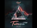 MoMa (Tritonia 538)