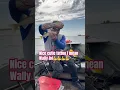 Download Lagu #fishing #walleyefishing #tattooart #shortsviral #shortvideo #shorts #ytshorts #ytviral