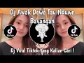 Lagu DJ AWAK DEWE TAU NDUWE BAYANGAN | DJ MENDUNG TANPO UDAN VIRAL TIKTOK TERBARU 2025 !
