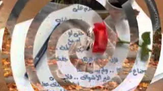 Ma3labalich Ghramek Wmv 