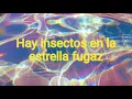 Siddhartha/Caloncho-Loco