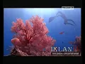Iklan Djarum Black