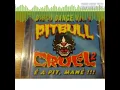 Download Lagu Disco Dance - Vol.05 - Pit Bull Cruel - É a Pit Mané