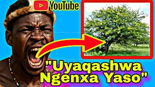 Zizwele INyanga Ichaza Izimanga Ezenziwa Isihlahla SoMunga 