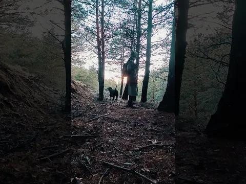 Vigilo éste lugar desde antes de que lo supieran 🌲 #fantasia #bosque #naturaleza
