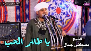 يا طائر الحب الشيخ مصطفى جمال 