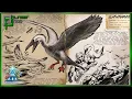 Ark Basics Ichthyornis EVERYTHING YOU NEED TO KNOW