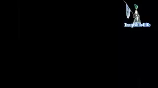 انا رقيه باسم الكربلائي 