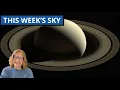 Moon Saturn And The Pleiades Week of August 3