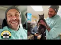 Cat rescue with a huge surprise The Asher House