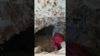 بعد قطف العسل شاهد كيف تركت له مكان تربية نحل لايك إشترك Shorts 