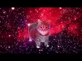 [1 HOUR] W&W - OIIA OIIA (Spinning Cat)