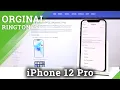 Ringtone List on iPhone 12 Pro – Listen Available Ringtones