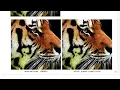 Introduction to Image Processing Machine Learning for Images